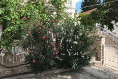 Tisno-Felix-studio-apartment-A3-front-patio-view