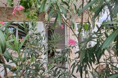 Tisno-Felix-studio-apartment-A3-front