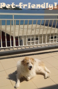 pet-friendly apartments